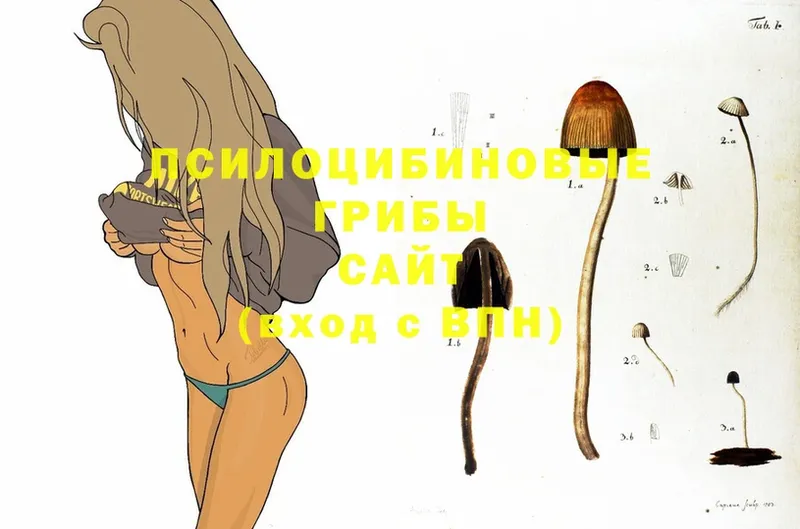 Галлюциногенные грибы GOLDEN TEACHER  Бокситогорск 